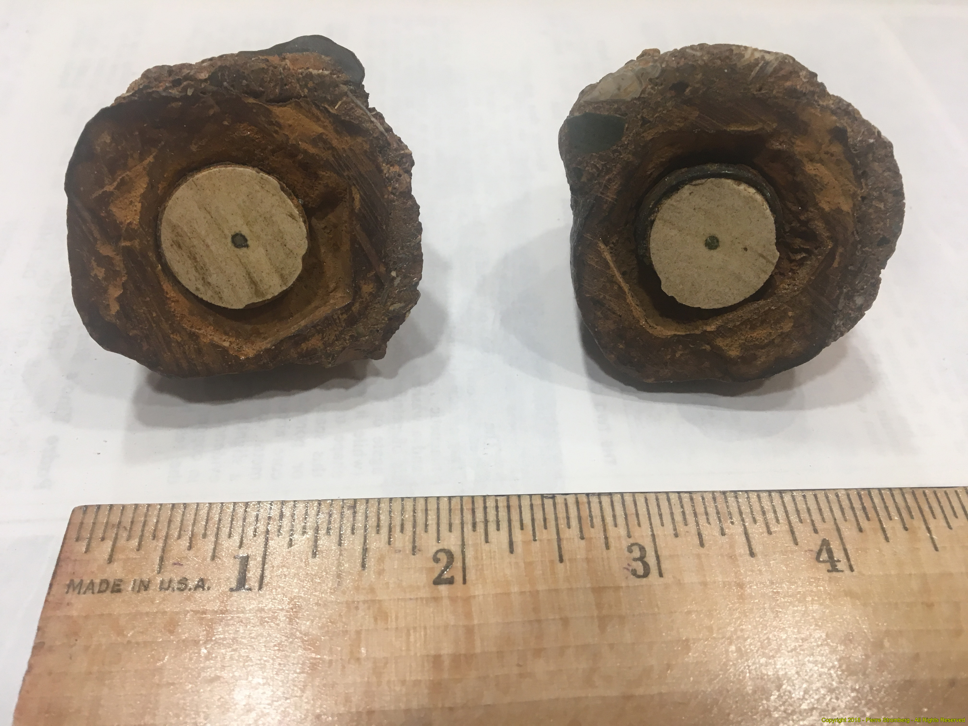 2018 pair photo